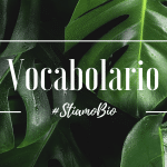 Voabolario - vegan bio clean naturale
